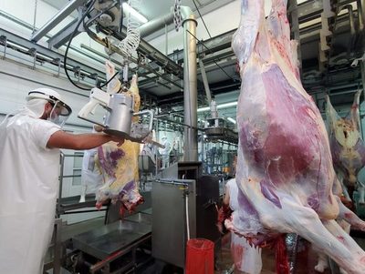 Paraguay y Brasil reemplazarían carne argentina en Chile para evitar suba de precios