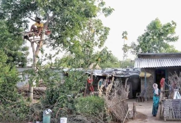 Crónica / Para no contagiar covid pasa 11 días en un árbol