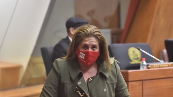 Diputados ignoraron sospechoso acto de Blanca Vargas