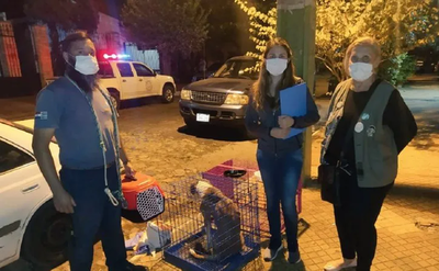 Mujer fue denunciada por abandono de animales y la hallaron muerta - Noticiero Paraguay