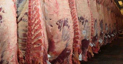 La Nación / Ganaderos de Argentina en huelga contra cese de exportaciones de carne