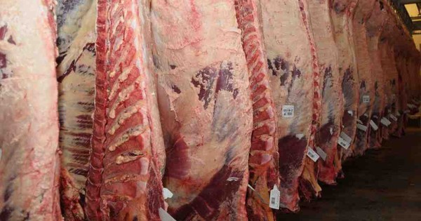 La Nación / Ganaderos de Argentina en huelga contra cese de exportaciones de carne