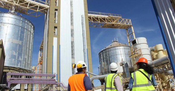 La Nación / Molienda de granos aumentó 8% en abril y ayudó a desacelerar la caída acumulada