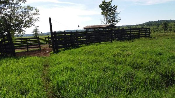 Asesinato y posterior suicidio en una estancia - Noticiero Paraguay