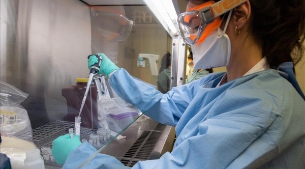 Brasil confirma los primeros casos de la variante india en el país | Ñanduti