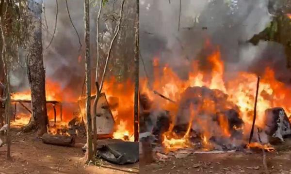 Allanan inmueble y destruyen plantación de presunta marihuana – Prensa 5