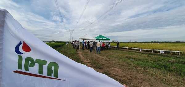 El Instituto Paraguayo de Tecnología Agraria conmemorara su aniversario N° 11