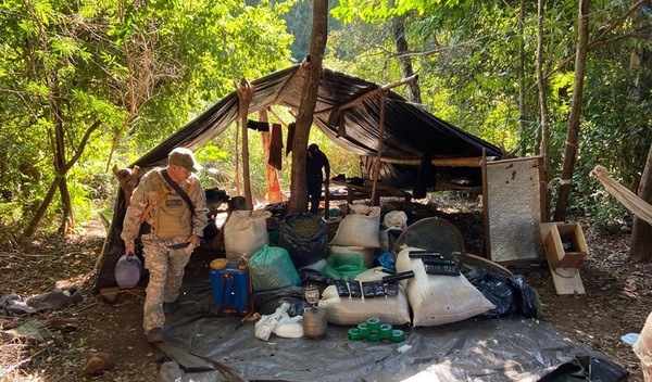 Detectan más de 7 toneladas de marihuana y 6 campamentos narcos en Capitán Bado