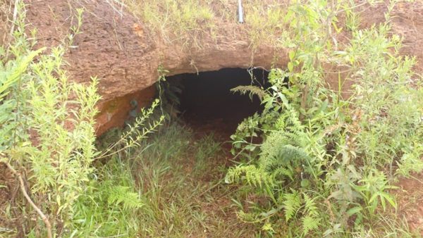 Caaguazú: hallan cuevas de armadillos gigantes de la prehistoria