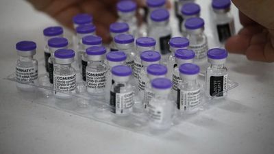 OMS: “Vacunas son efectivas con todas las variantes”