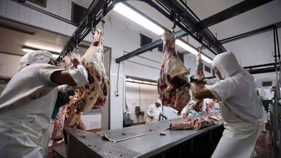 Ganaderos argentinos hacen huelga contra freno a exportación