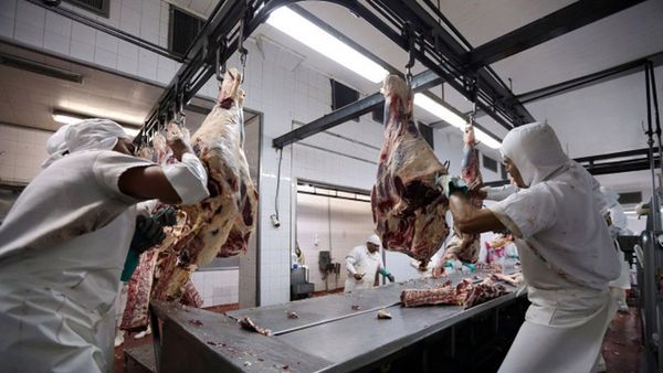 Ganaderos argentinos hacen huelga contra freno a exportación