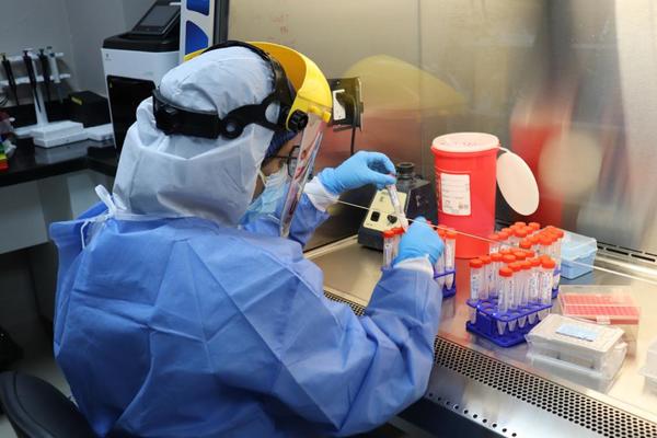 Brasil detectó los primeros casos de la variante india de coronavirus en el país | Ñanduti