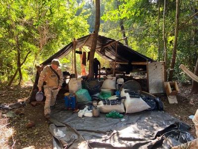 Detectan más de 7 toneladas de marihuana y 6 campamentos narcos en Capitán Bado