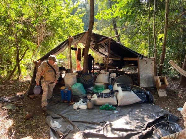 Detectan más de 7 toneladas de marihuana y 6 campamentos narcos en Capitán Bado