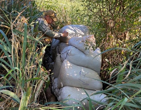 Detectan campamentos narcos en Capitán Bado