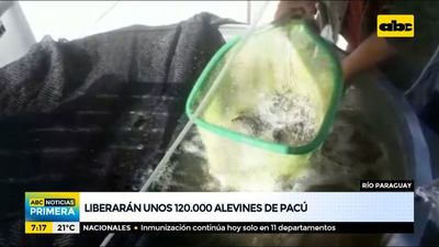 Liberarán unos 120.000 alevines de Pacú en el río Paraguay - ABC Noticias - ABC Color