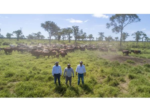 Ganaderos ven ventajas de sostenibilidad en el Chaco