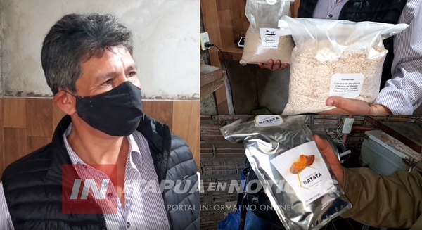 UN INGENIERO DESARROLLA HARINA DE BATATA, MANGO Y OTRAS VARIEDADES QUE ABUNDAN EN LA CHACRA