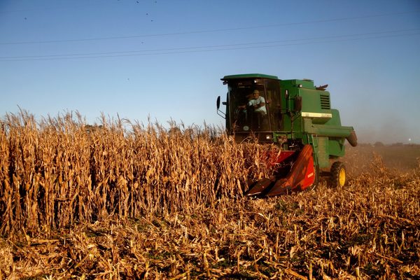 Los "superprecios" de los granos, un bálsamo para la economía de Argentina - MarketData