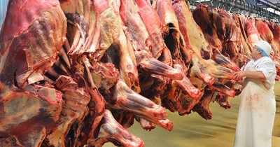 La Nación / El 75% de la exportación de carne Argentina va a China, donde Paraguay no tiene acceso, afirman
