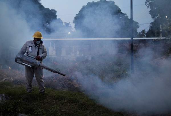 Consejo agropecuario mexicano vislumbra fallo a favor del uso de glifosato - MarketData