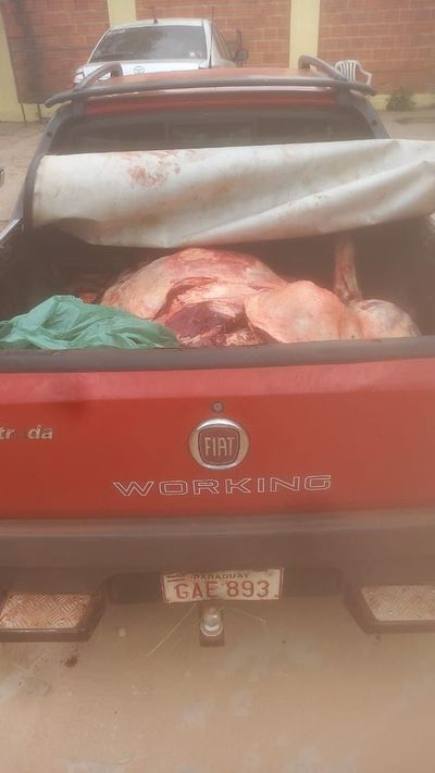 Aprehenden a supuestos abigeos en Horqueta - Nacionales - ABC Color
