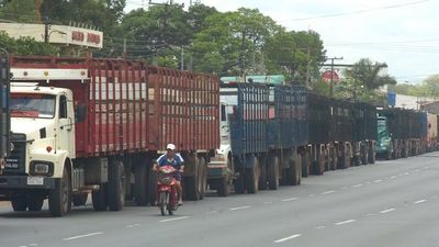 El transporte de ganado dice no al paro