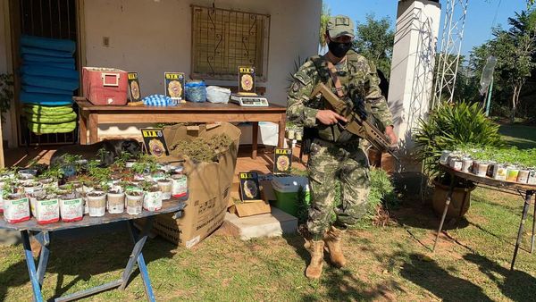 Senad allana una granja y detiene a un impulsor del cannabis medicinal