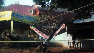 Tormenta deja a su paso árboles caídos y corte de luz en CDE