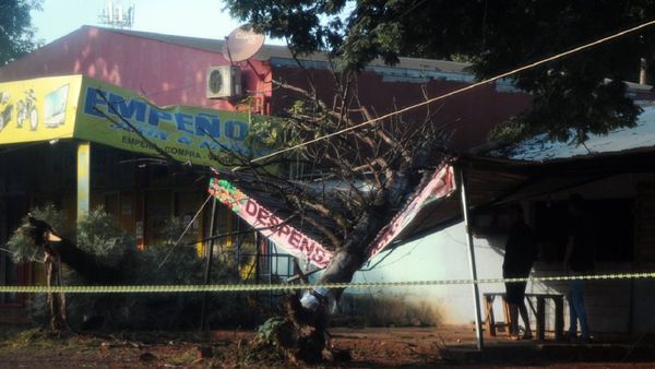 Tormenta deja a su paso árboles caídos y corte de luz en CDE