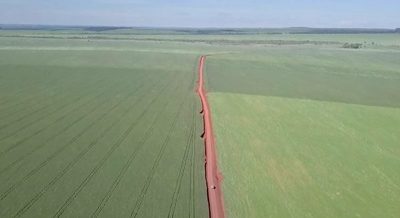 “Kuatia” reacciona contra pedido de censura a “Los campos envenenados del Paraguay”