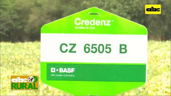 Abc Rural: BASF presentó variedades de soja para el Chaco - ABC Rural - ABC Color