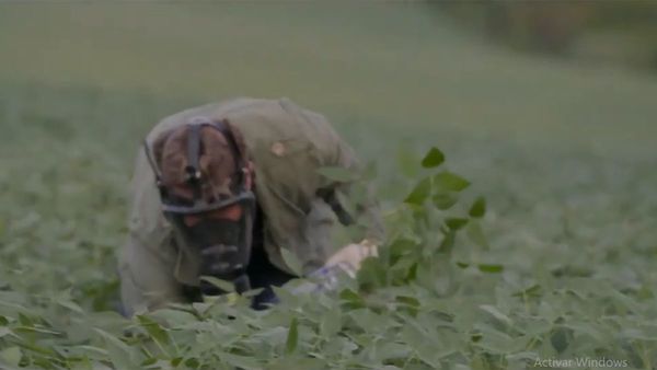 Muestran apoyo el documental repudiado por ganaderos