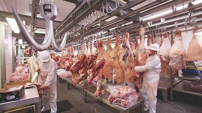Sudamérica vive un boom de materias primas por suba de precios