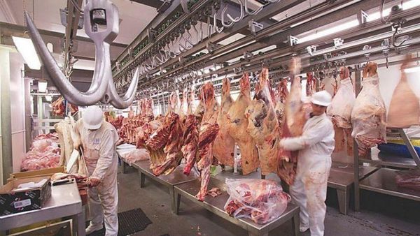 Sudamérica vive un boom de materias primas por suba de precios