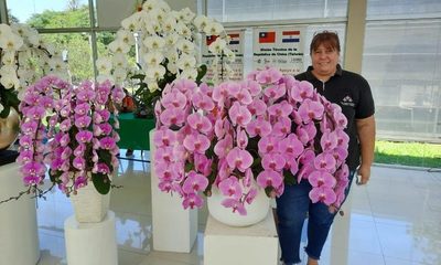 Crece la producción de flores, pero no todo es color de rosas