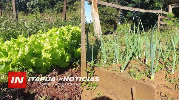 ENTREGARÁN SEMILLAS PARA  HUERTA A COMITÉS.