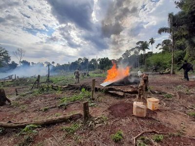 SENAD interviene base de acopio narco en Alto Paraná | Ñanduti