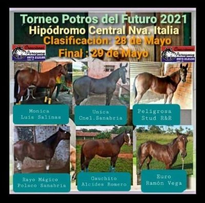 Crónica / Carreras de caballos tiene hartos a pobladores de Nueva Italia