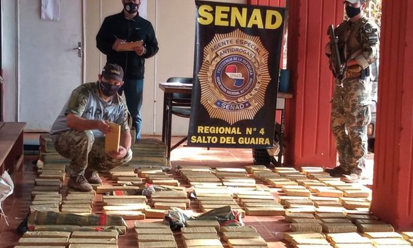 Incautan más de media tonelada de marihuana