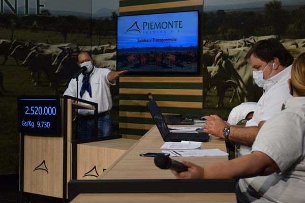 Piemonte cerró un sábado a doble venta de invernada por más de US$ 1,2 millones