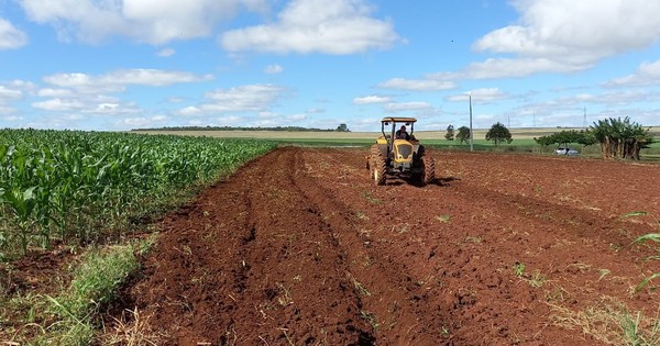 La Nación / Productores del norte del país son beneficiados por el MAG