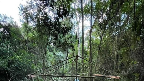Denuncian tala y posible invasión en la Reserva San Rafael