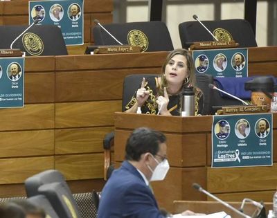 Interpelación a ministro de Salud: Borba debe explicar, no “jugar a la princesita ofendida”, dice Kattya - Nacionales - ABC Color