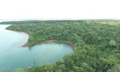 Itaipú celebra día de la Biodiversidad con acciones que protegen especies y conservan áreas protegidas – Diario TNPRESS