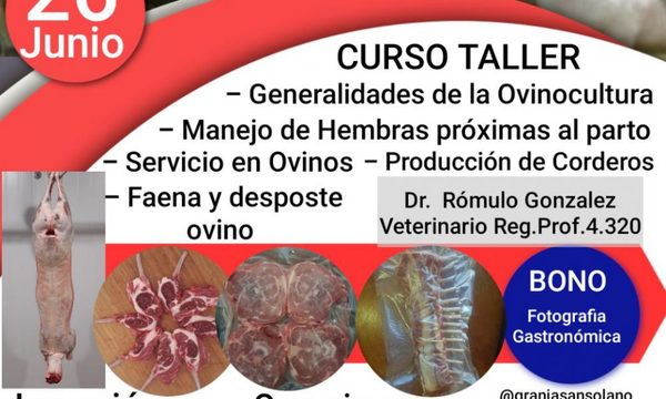 Preparan taller sobre manejo ovino