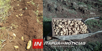 BUSCAN SISTEMA DE RIEGO EN PRODUCCIÓN DE PAPA.