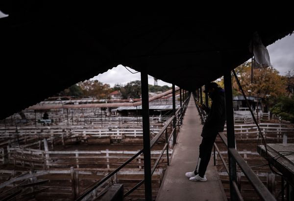 El sector de la carne de Argentina teme los daños del cierre de exportaciones - MarketData