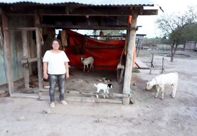 Caso Korochire: cuestionan imputación contra siete personas - Nacionales - ABC Color